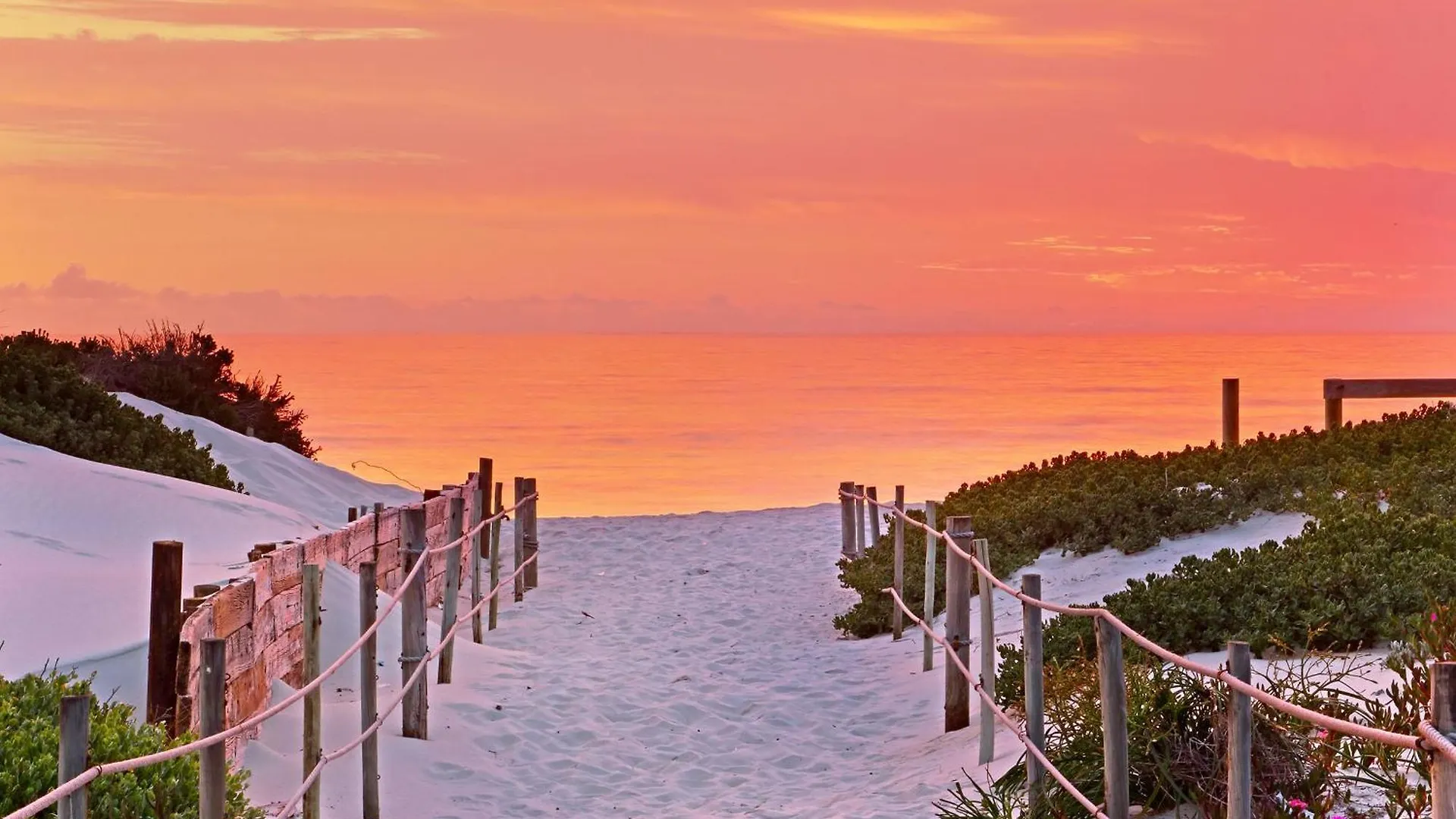 Dolphin Beach H106 By Hostagents Bloubergstrand